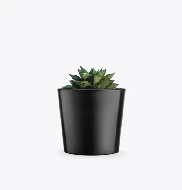 product-image-3_optimized 第 07 堂|爆款拆解:學會複製成功的內容結構