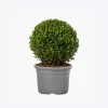 product-image-4_optimized 第 09 堂|流量變現:建立自己的商業模式