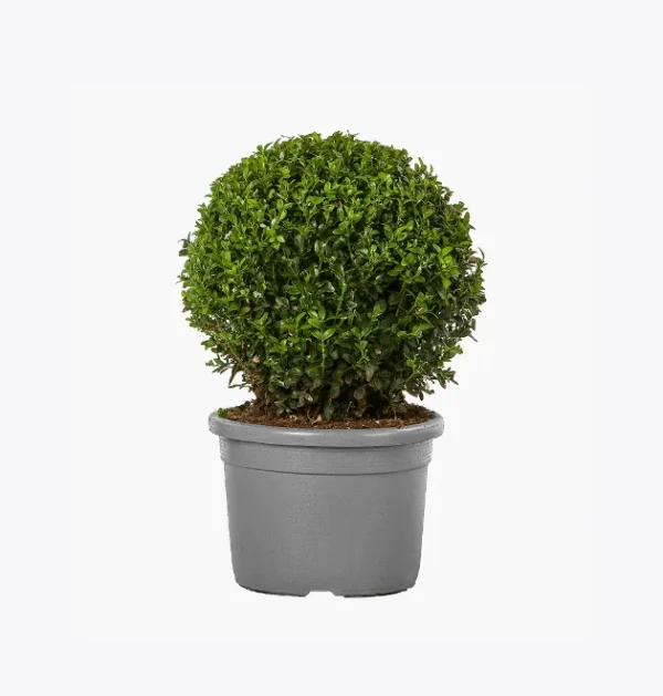 product-image-4_optimized 第 09 堂|流量變現:建立自己的商業模式