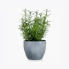 product-image-5_optimized 第 07 堂|爆款拆解:學會複製成功的內容結構