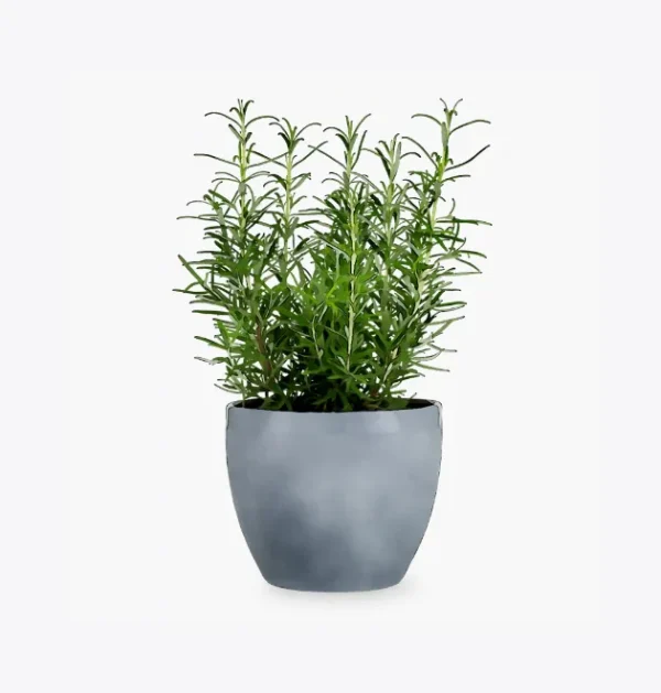product-image-5_optimized 第 07 堂|爆款拆解:學會複製成功的內容結構