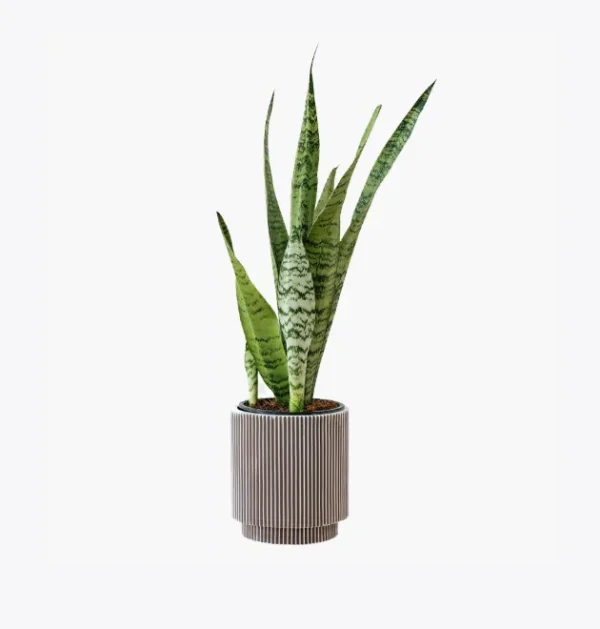 product-image-6_optimized 第 09 堂|流量變現:建立自己的商業模式